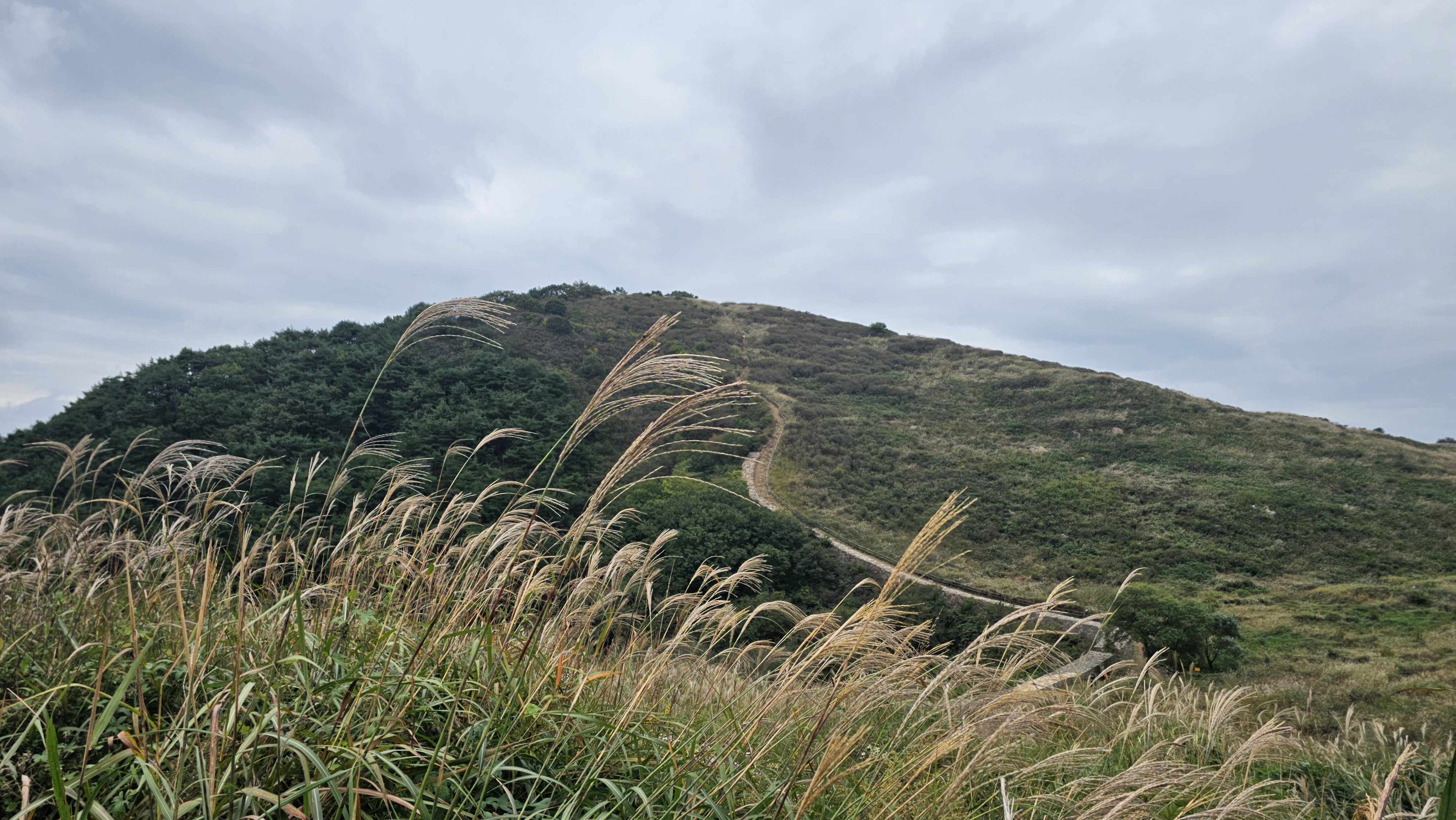 게시물 첨부 이미지