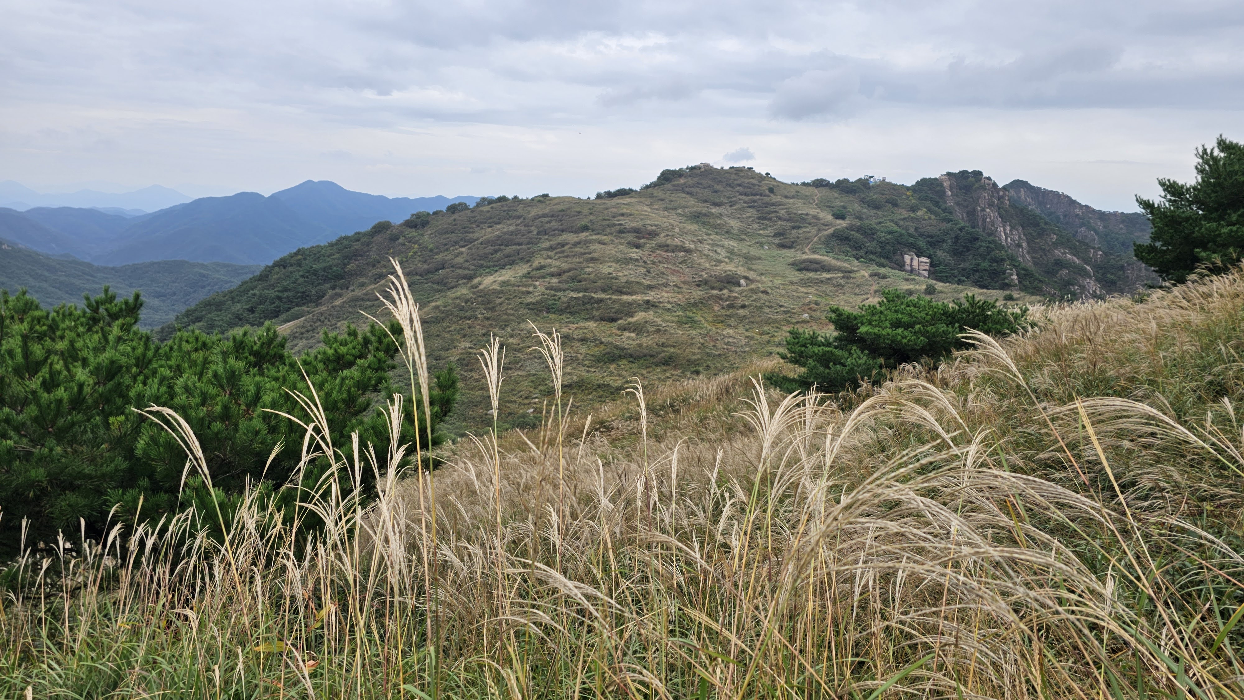 게시물 첨부 이미지