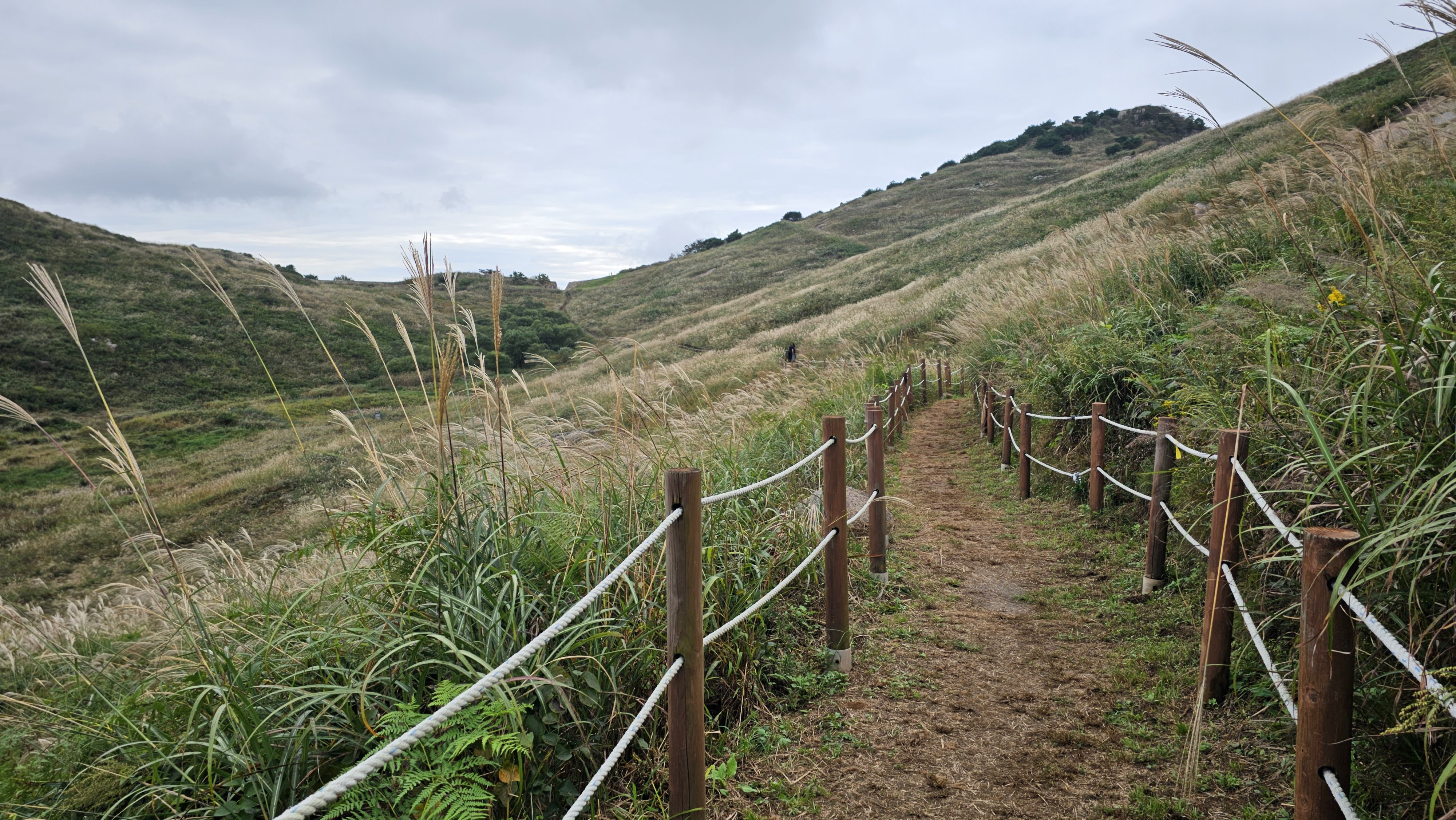 게시물 첨부 이미지