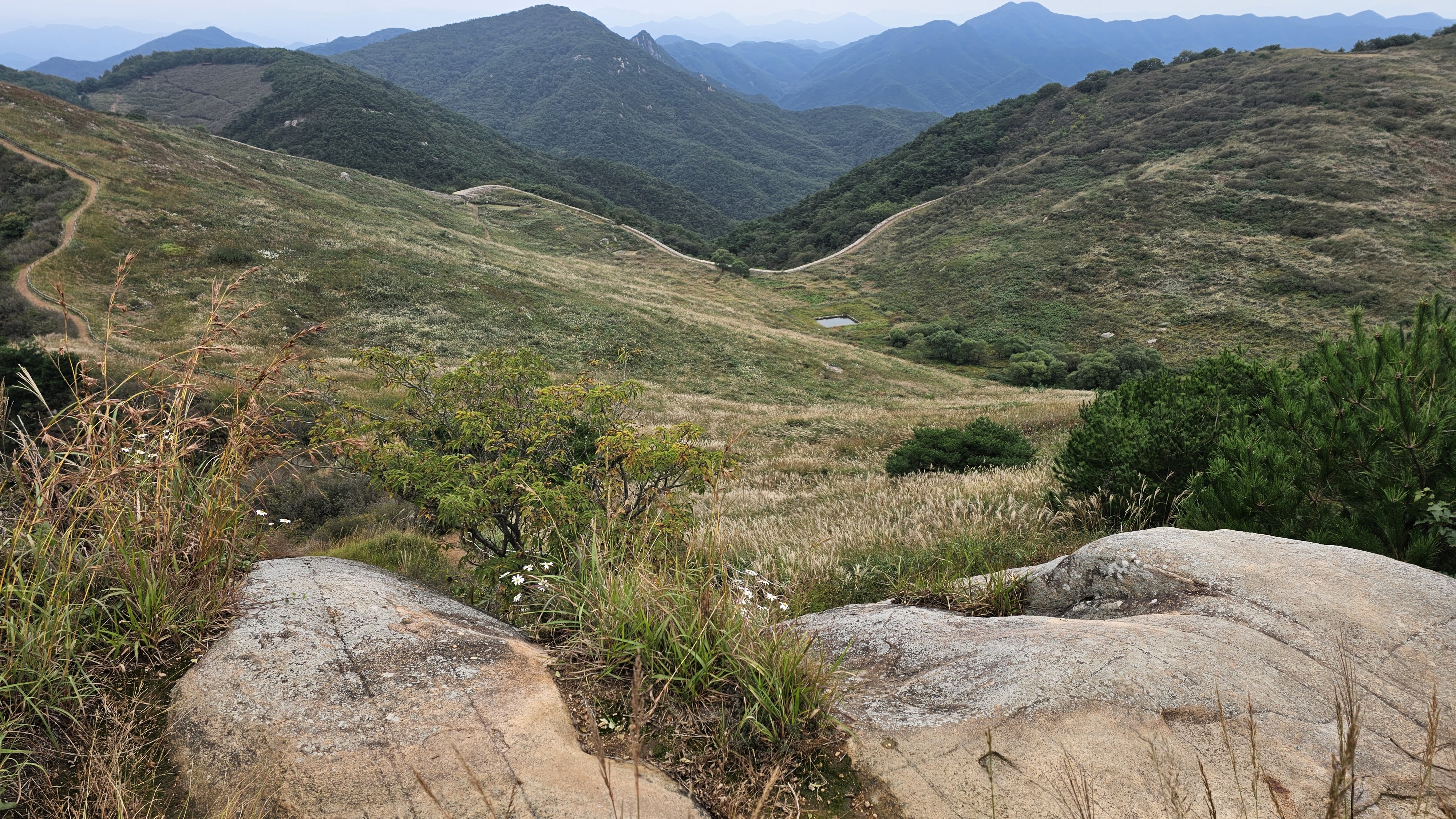 게시물 첨부 이미지